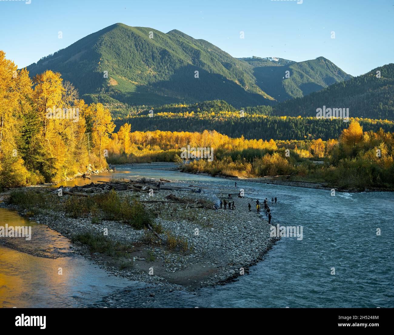 Viele Fischer stehen am Chilliwack River bei Vedder Crossing und versuchen, einen Fisch zu fangen, in Chilliwack City, British Columbia, Kanada Stockfoto