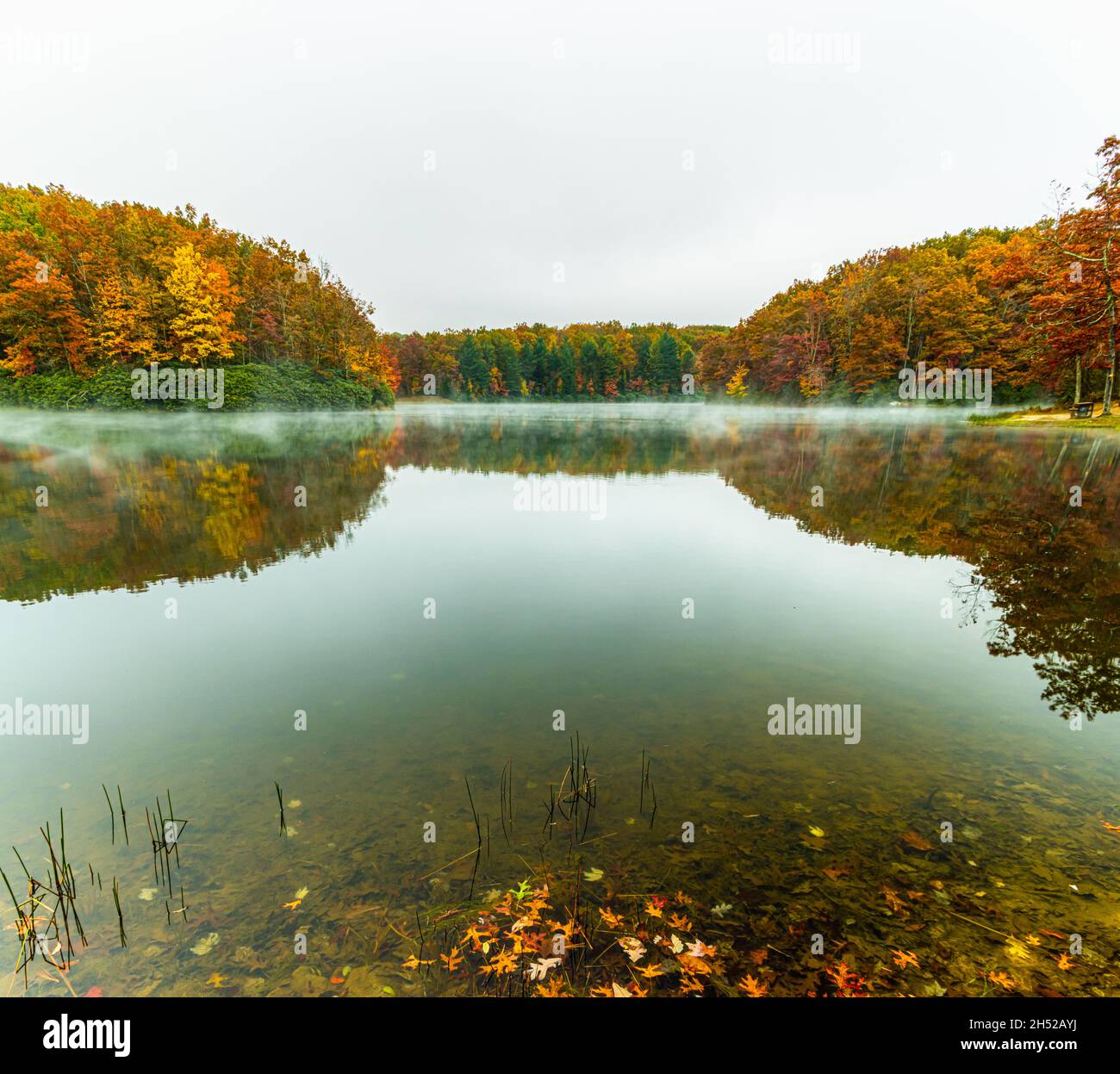 Herbstfarbreflexionen auf der Misty-Oberfläche von Boley Lake, Babcock State Park, West Virginia, USA Stockfoto