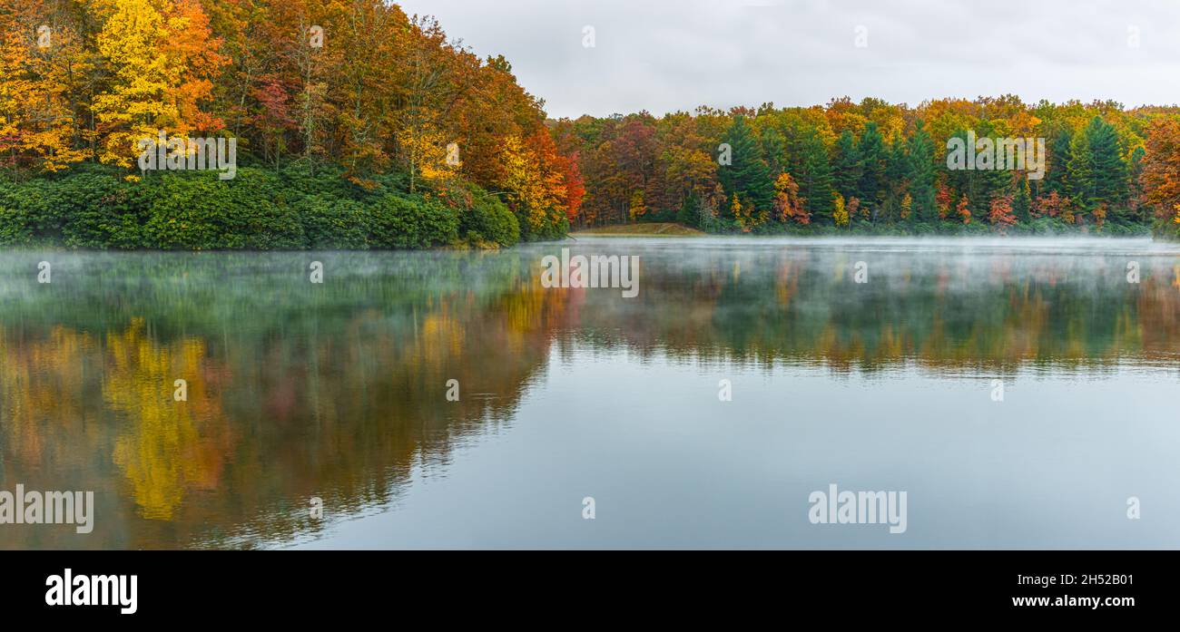 Herbstfarbreflexionen auf der Misty-Oberfläche von Boley Lake, Babcock State Park, West Virginia, USA Stockfoto