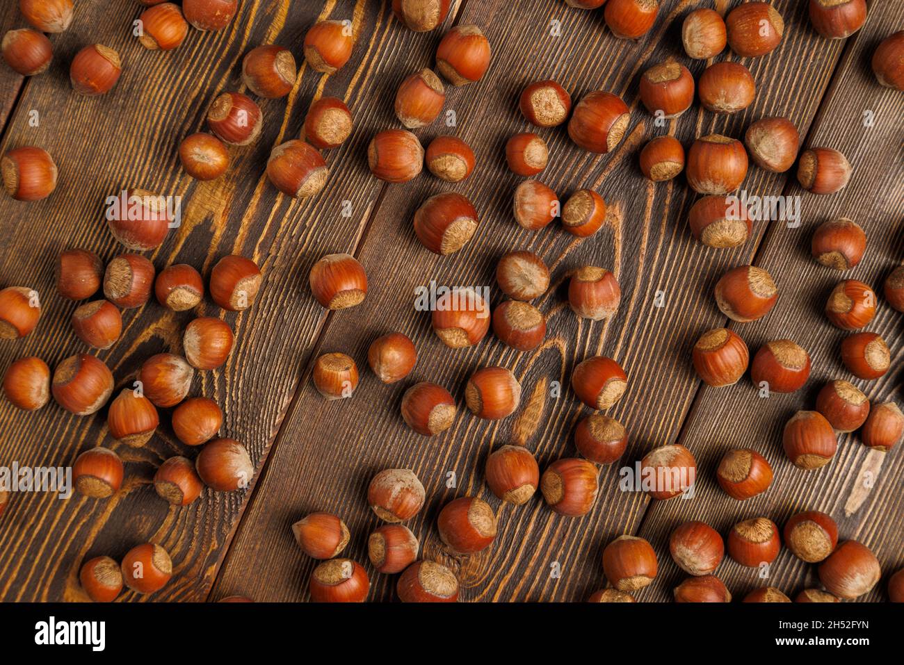 Viele Haselnüsse mit Muscheln gleichmäßig auf brauner Holzoberfläche verteilt Stockfoto