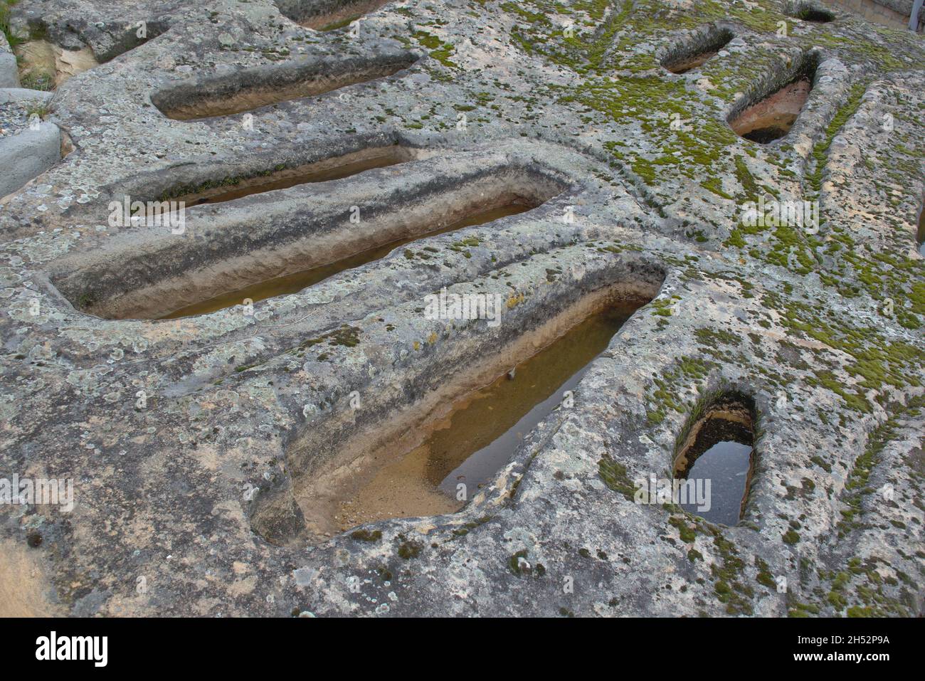 Anthropomorphe Gräber aus Sandstein. Rund um die Kirche von San Adrian Märtyrer, aus dem hohen Mittelalter. Regumiel de la Sierra Burgos Stockfoto