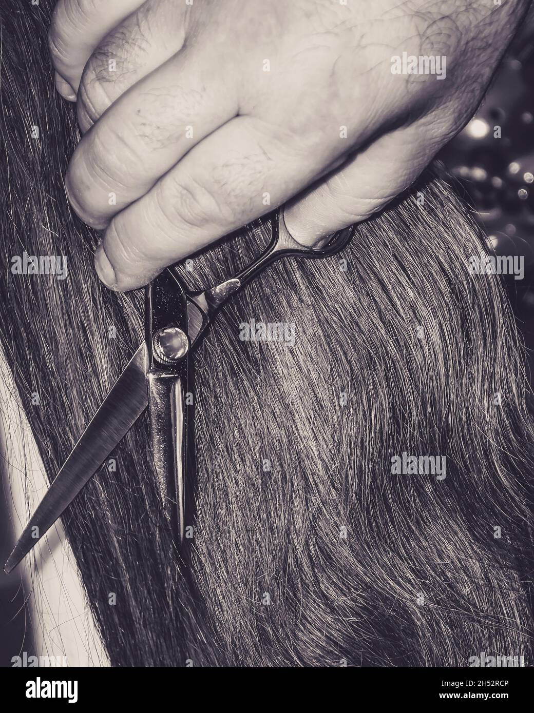 Vintage-Ansicht einer männlichen Hand mit einer Schere schneidet die Haare einer Frau Stockfoto