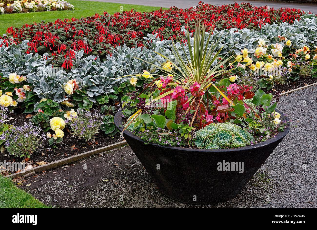 Farbenfrohe Blumenbeete, mehrere Farben, Topfblumen, botanische Gärten; Südinsel, Christchurch; Neuseeland Stockfoto