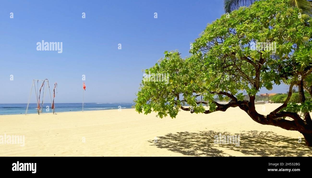 Tropischer Strand mit einem sauberen gelben Sand und Schaukel vor dem Ozean am Horizont und ein Baum auf der rechten Seite Stockfoto