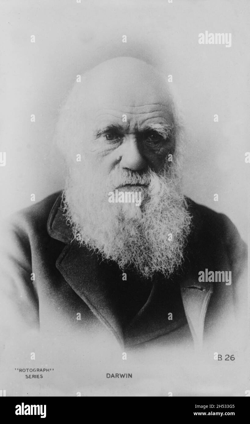 Vintage-Fotografie um 1880 von Charles Darwin, dem berühmten Naturforscher und Autor von On the Origin of Species und Verfechter der Evolutionstheorie. Stockfoto