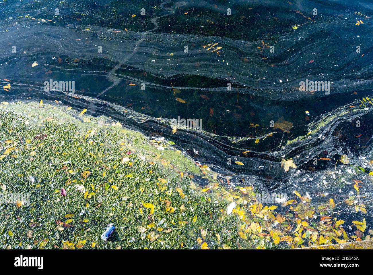 Um den Southchurch Park Lake herum wurden Warnschilder angebracht, die Besucher vor Problemen mit der Abwasserverschmutzung durch anglianisches Wasser warnen. Verschmutztes Wasser Stockfoto