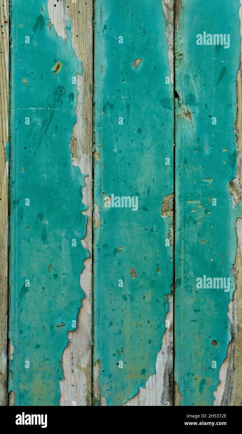 Leuchtende türkisfarbene Holzdielen mit verwitterter Textur und abblätternder Farbe in rustikaler Atmosphäre Stockfoto