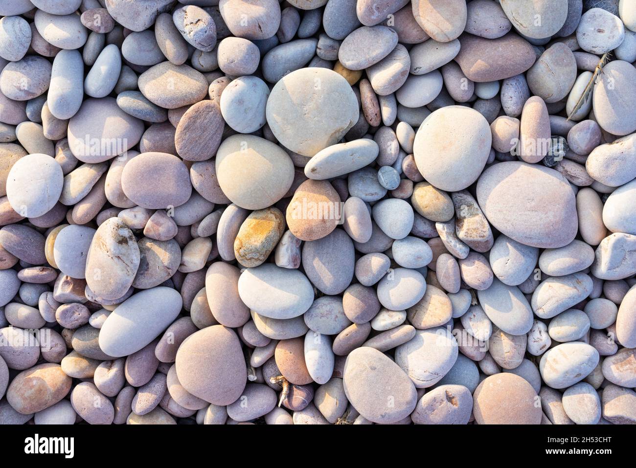 Viele verschiedene Größen von Beach Pebbles und mehrfarbigen Kieseln an einem Kieselstrand England UK Stockfoto