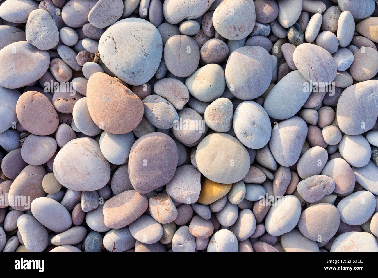 Viele verschiedene Größen von Strandkieseln und mehrfarbigen Kieselsteinen an einem Kiesstrand UK Stockfoto