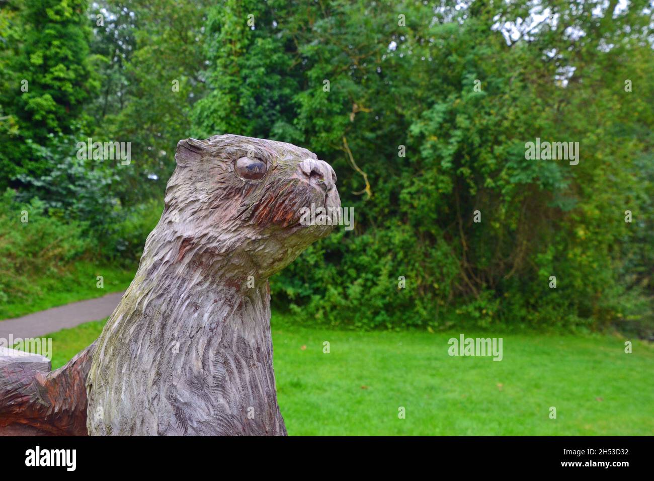 Geschnitzte Otter Skulptur auf dem Rasen im Clare Castle Country Park, Suffolk, Großbritannien Stockfoto