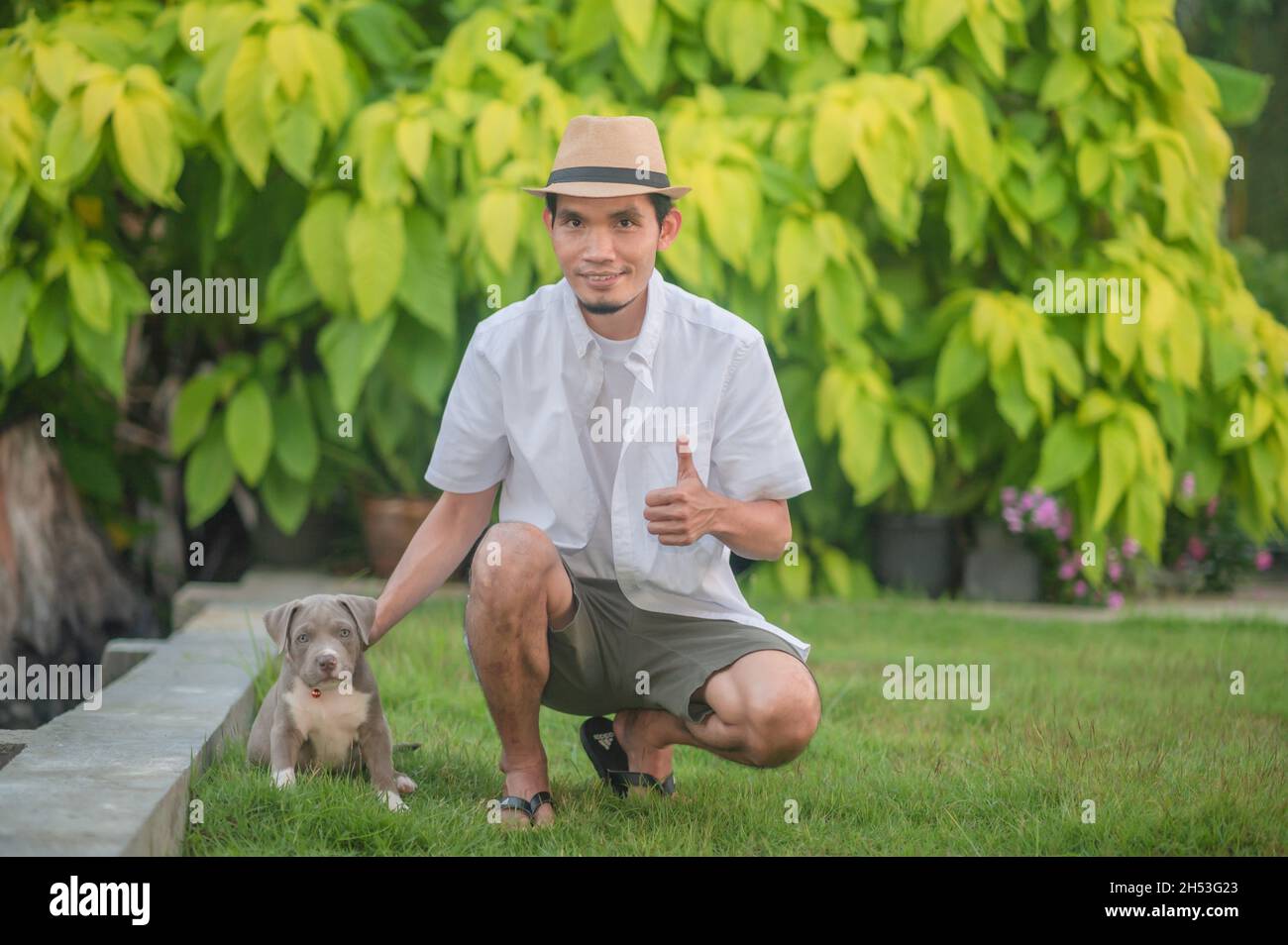 Mann und Hund Welpen glücklich amerikanischen Schläger Stockfoto