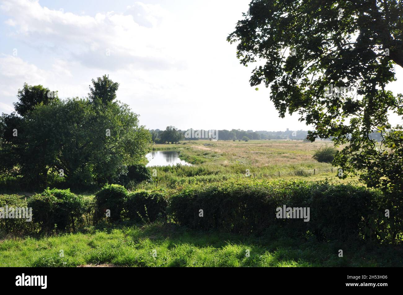 Der River Wensum in Bylaugh, Norfolk, England, Großbritannien Stockfoto