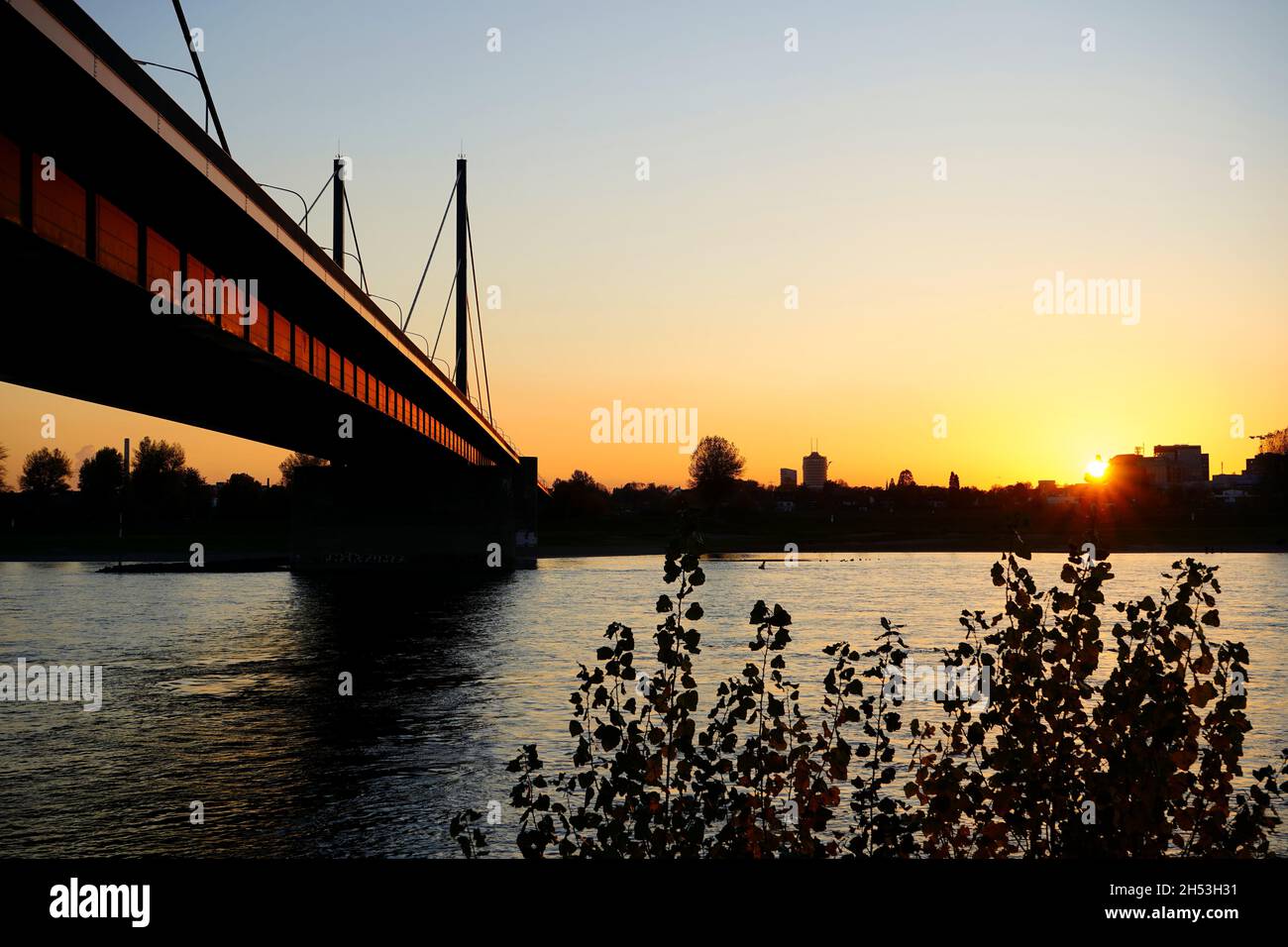 Theodor-Heuss-Brücke in Düsseldorf, Deutschland, mit Spiegelung der untergehenden Sonne. Foto vom Flussufer im Landkreis Golzheim. Stockfoto