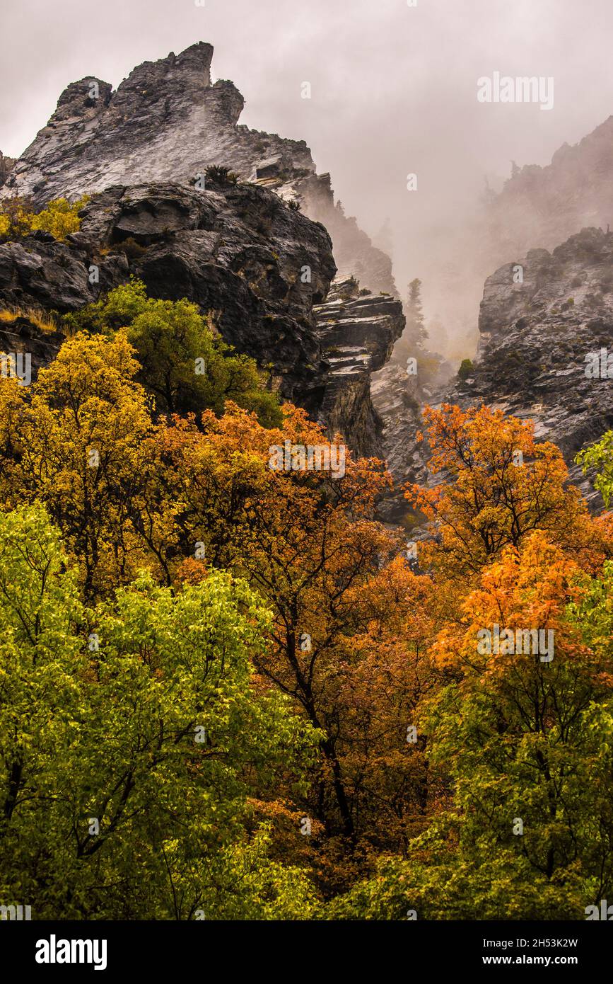 Stormy American Fork Canyon im Herbst - Wasatch - Utah Stockfoto