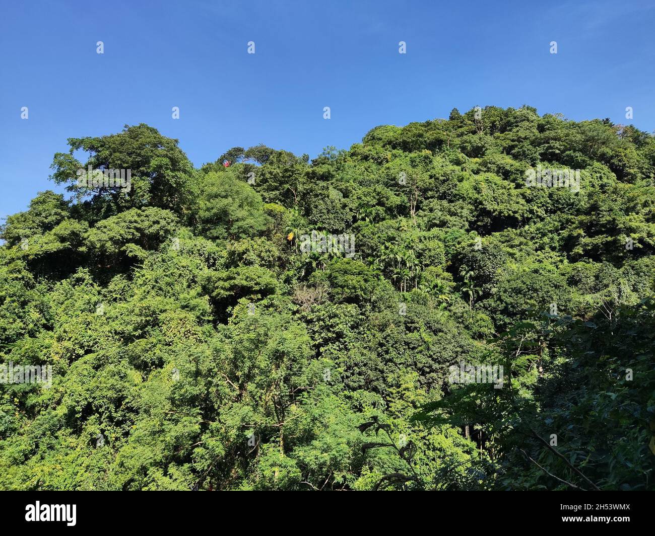 Dieses Foto auf dem Hügel wurde aus Sitakunda, Bangladesch, aufgenommen. Stockfoto