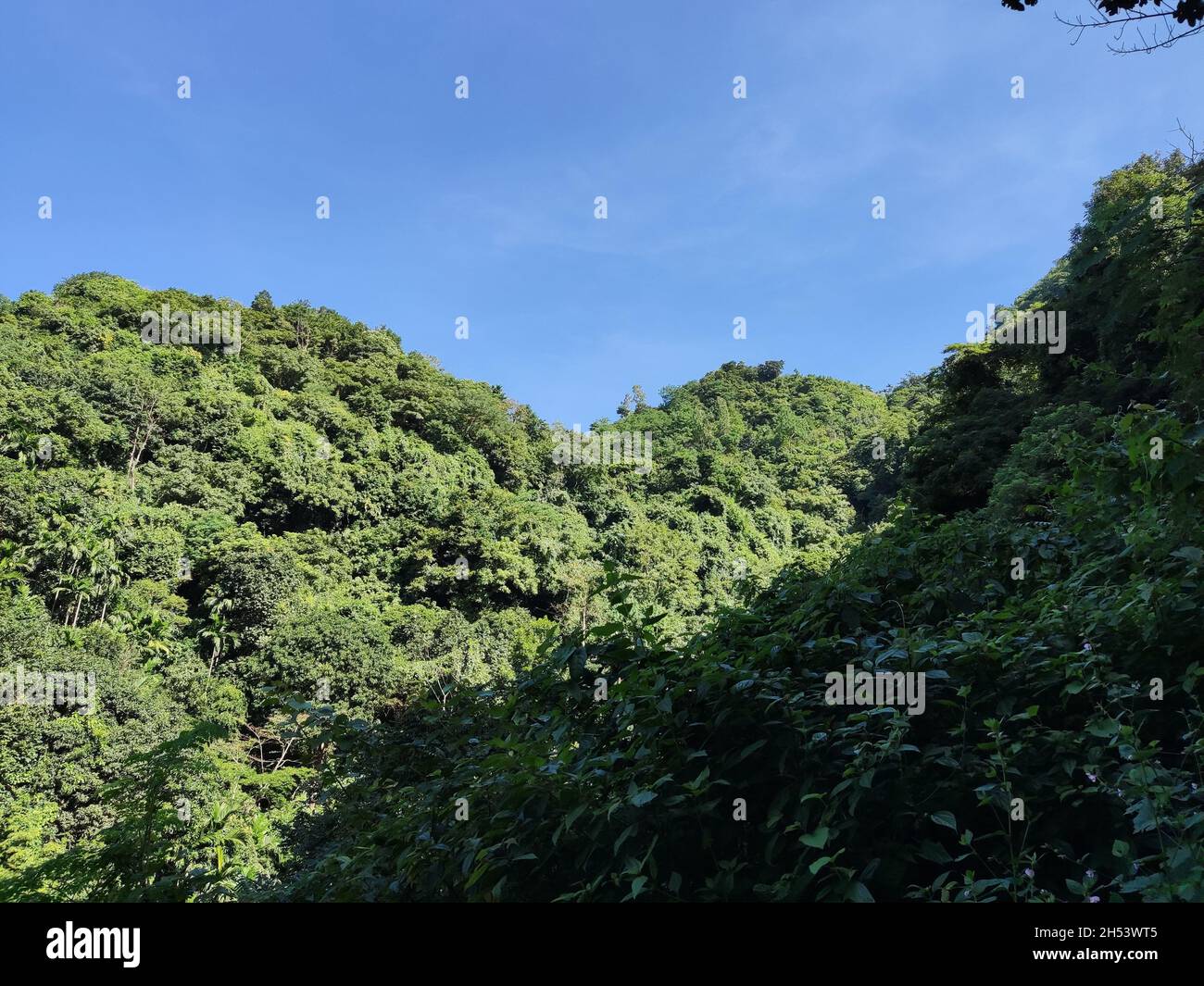 Dieses Foto auf dem Hügel wurde aus Sitakunda, Bangladesch, aufgenommen. Stockfoto