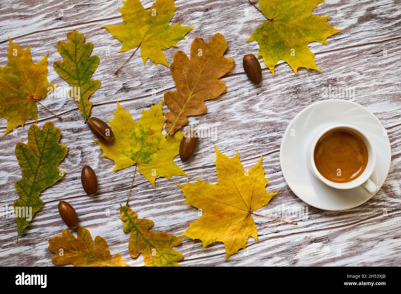 Kaffeepause-Konzept am Herbstmorgen, Nahaufnahme Stockfoto