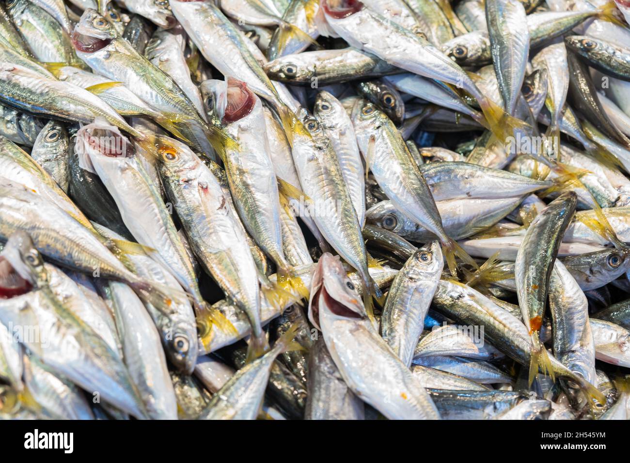 Frischer roher kleiner Fisch Hintergrund auf dem Markt Stockfoto