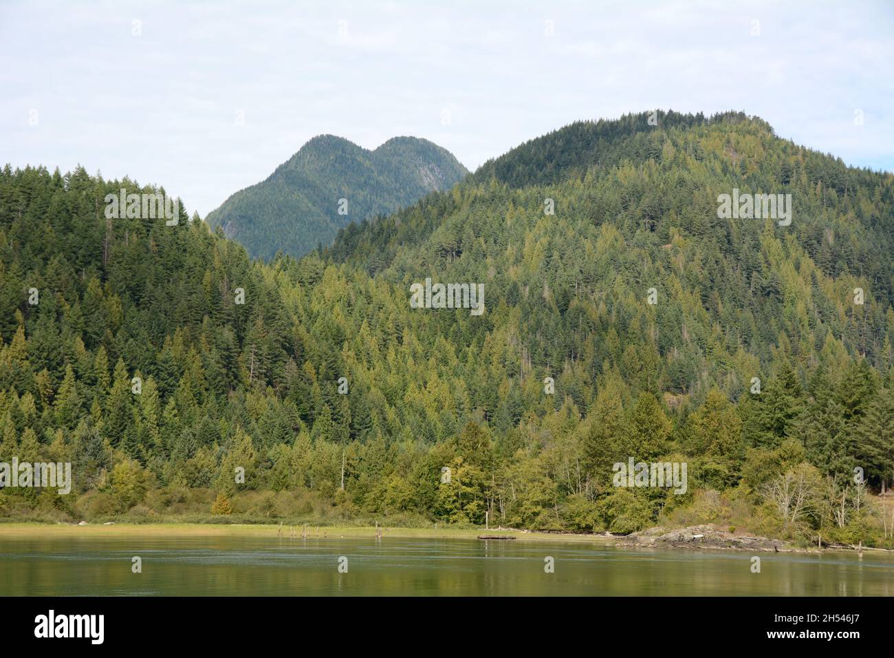 Die Küstenberge und der Wald entlang des Pitt River und des Widgeon Marsh Regional Park, in der Nähe von Pitt Meadows, British Columbia, Kanada. Stockfoto