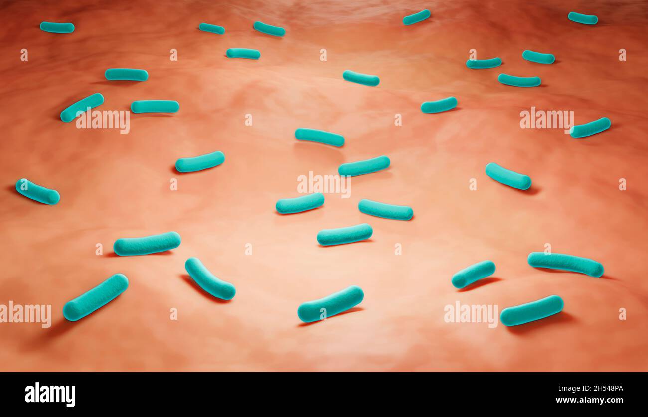 Mikrobiom der Haut, Abbildung Stockfoto