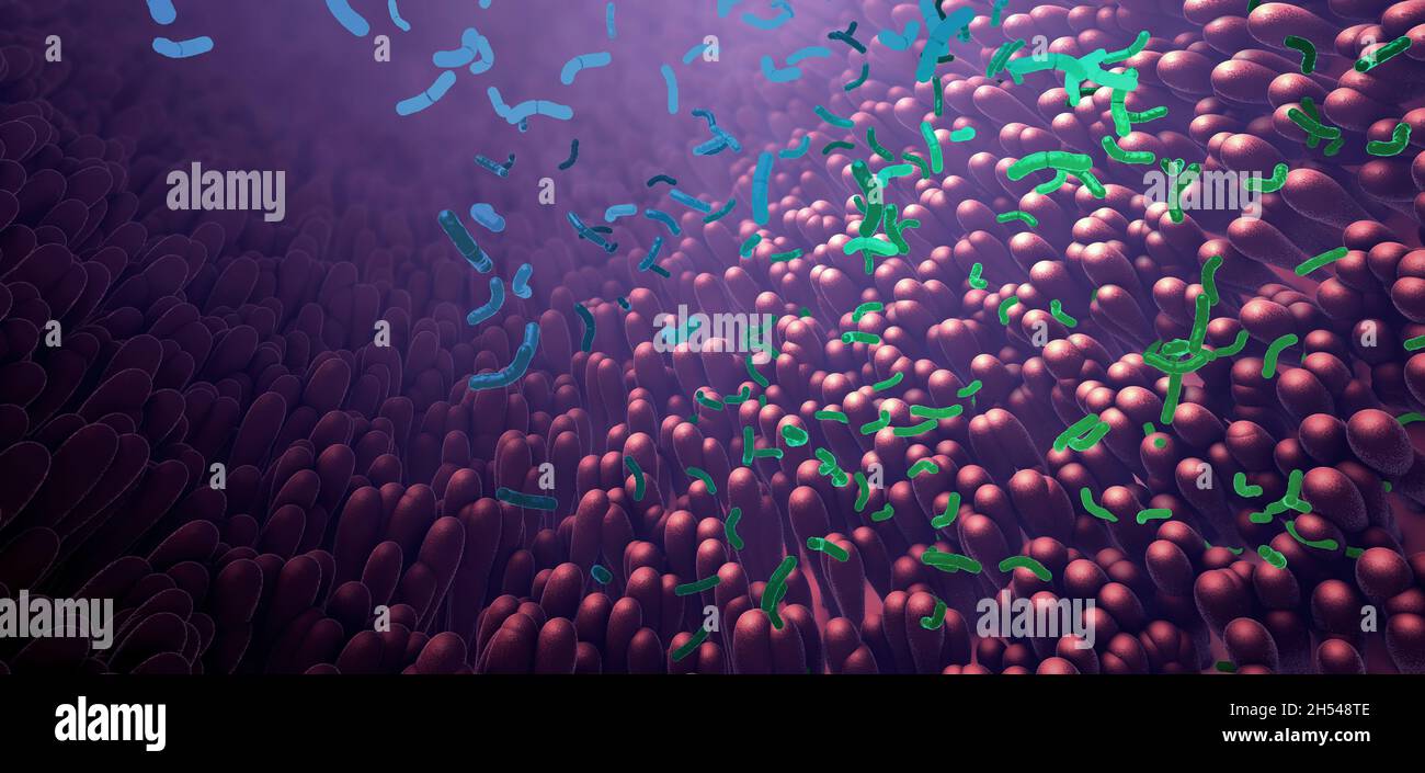Bakterien als Teil des Mikrobioms, Illustration Stockfoto