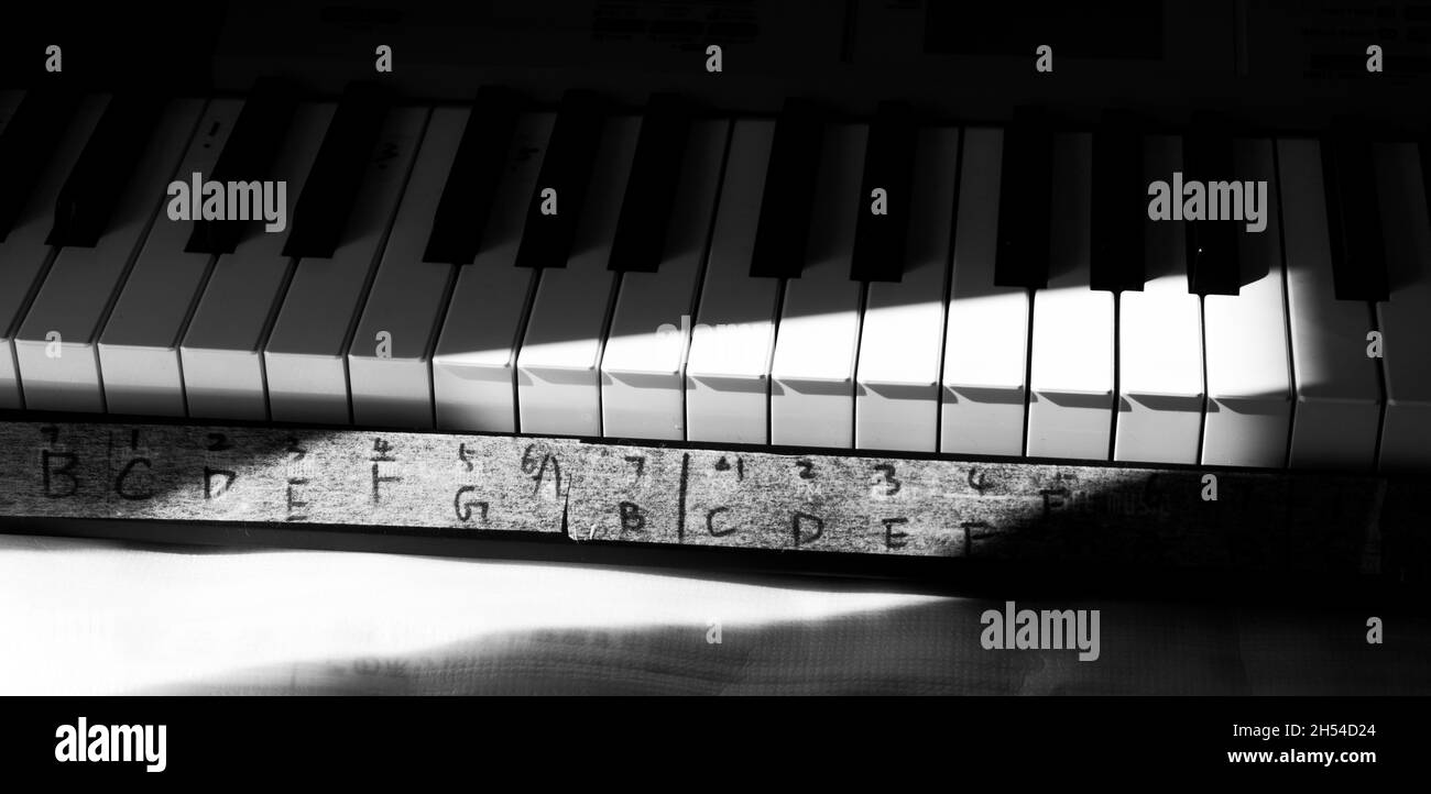 Noten auf Klavier. Klavieranfänger, Buchstaben und Zahlen auf Klavier. Stockfoto