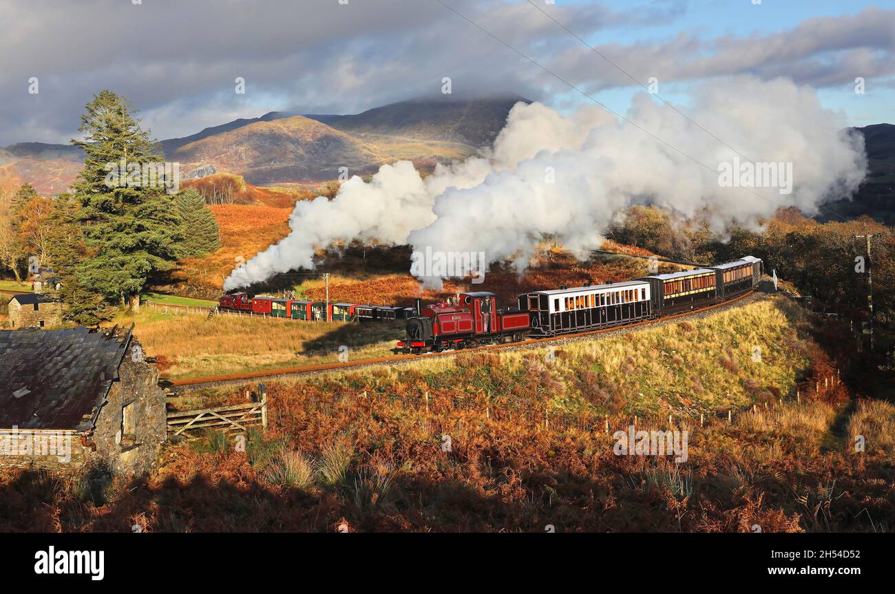„Prince“ fährt von Dduallt in Richtung Blaenau ab, da „Palmerston“ am 2.11.21 eintrifft Stockfoto