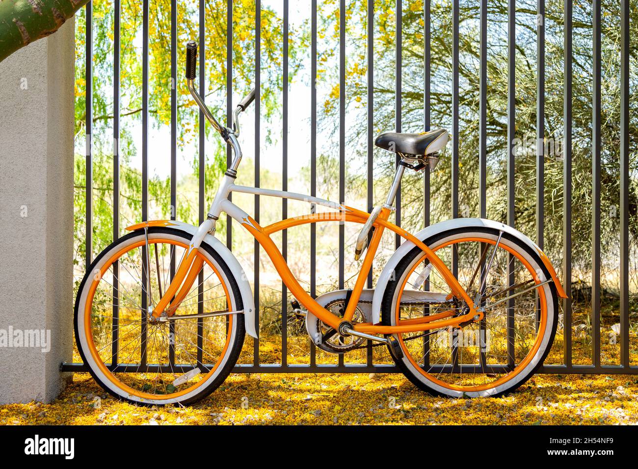 Retro-Stil Fahrrad in der Wüste Südwesten auf einem Teppich aus Blumen. Orangefarbenes und weißes Fahrrad im Vintage-Stil, das in voller Blüte unter dem palo verde Baum eingezäunt ist. Stockfoto