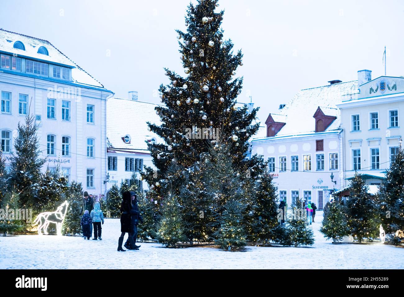 Weihnachtsbaum auf dem zentralen Platz der Altstadt von Tallinn. Nordische Weihnachtsdekoration in Tallinn. Stockfoto