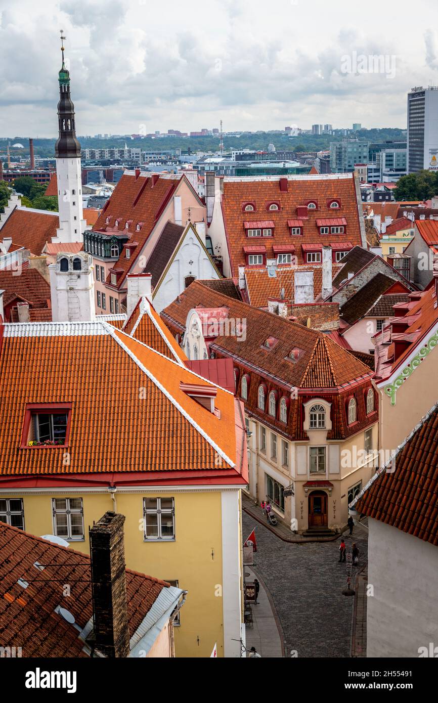 Tallinn Hauptstadt von Estland Reise 2021 Stockfoto