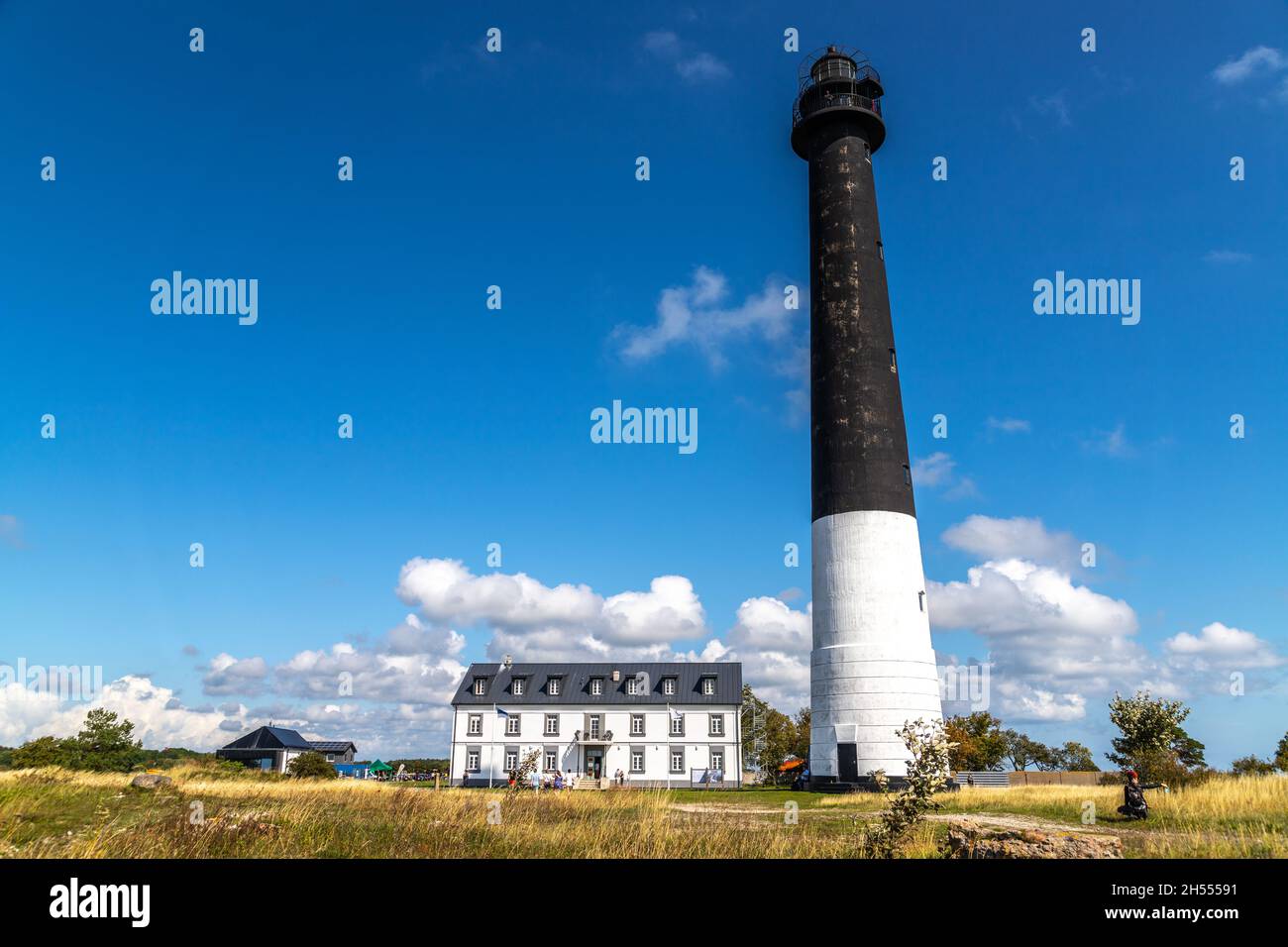 Insel Saaremaa Estland Sommerurlaub 2021 Stockfoto