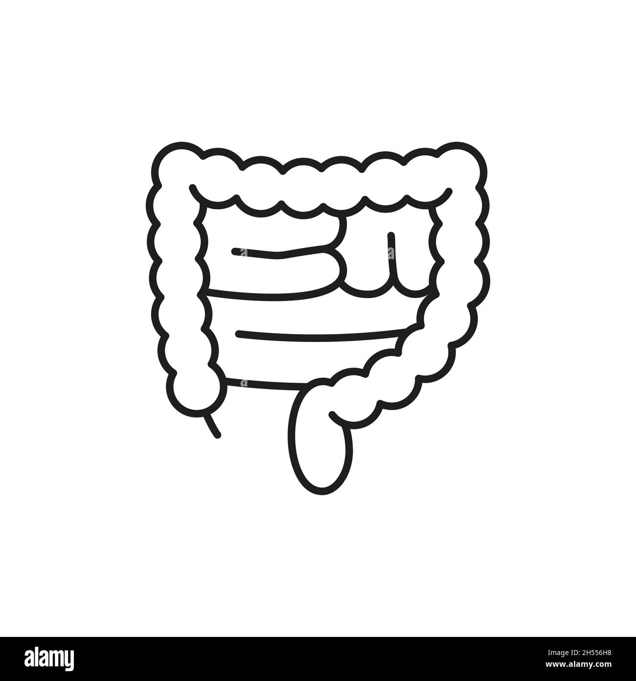 Menschliches Dickdarm isoliert Umriss dünne Linie Symbol. Vector Verdauungstrakt System inneres Organ, transversaler Dickdarm und Rektum. Anatomie, Gesundheitswesen Stock Vektor