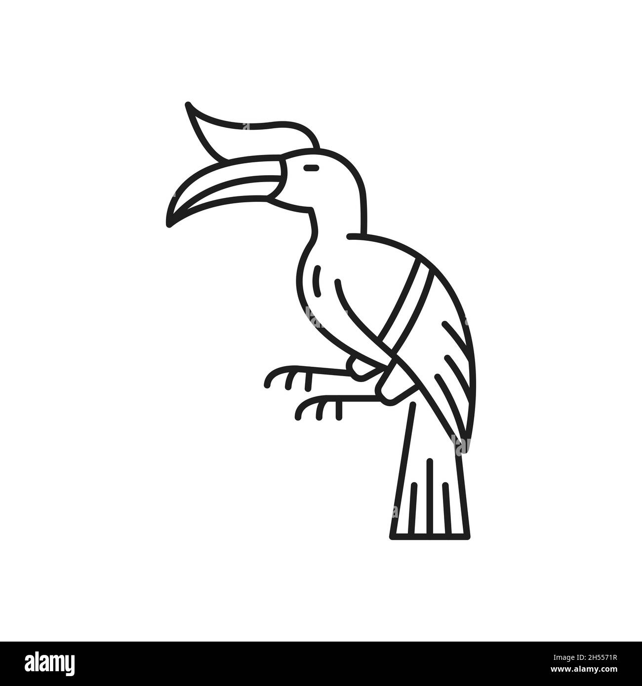 Tucan Vogel Linie Kunst Zeichnung, tropischer Vogel mit massiven Schnabel isoliert lineare Ikone. Vektor Hand gezeichnete gefiederte Papagei Tier, toco-Geflügel mit langen Schnabel Stock Vektor
