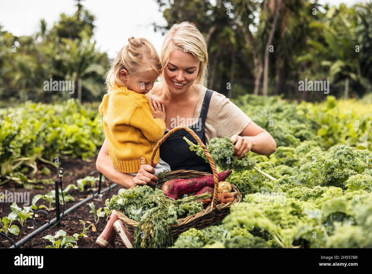 Glückliche junge Mutter trägt ihre Tochter beim Gemüsepflücken in einem Bio-Garten. Alleinerziehende Mutter sammelt frischen Grünkohl in einen Korb. Sich selbst unterstützen Stockfoto