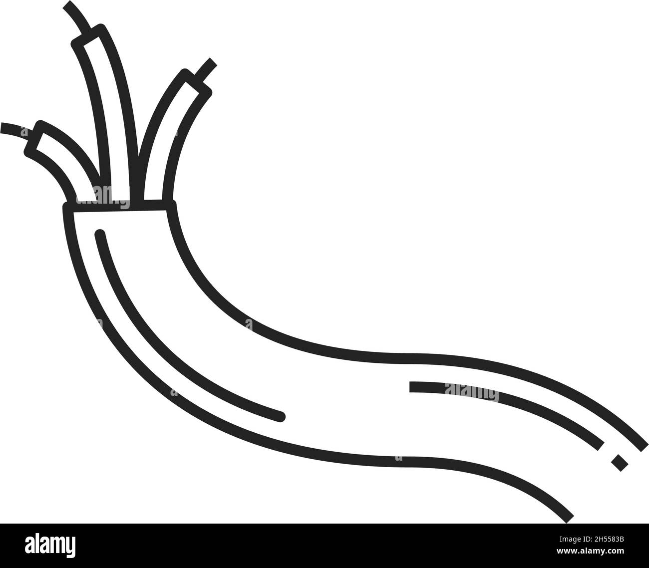 Symbol für isolierte Umrisse des schwarzen Elektrokabels. Vector dünnes Kabel auf drei Kabeln, elektrische Drahtstromquelle. Elektrische Ausstattung, TV-Kabel, Internet cor Stock Vektor Symbol für isolierte Umrisse des schwarzen Elektrokabels. Vector dünnes Kabel auf drei Kabeln, elektrische Drahtstromquelle. Elektrische Ausstattung, TV-Kabel, Internet cor Stock Vektor
