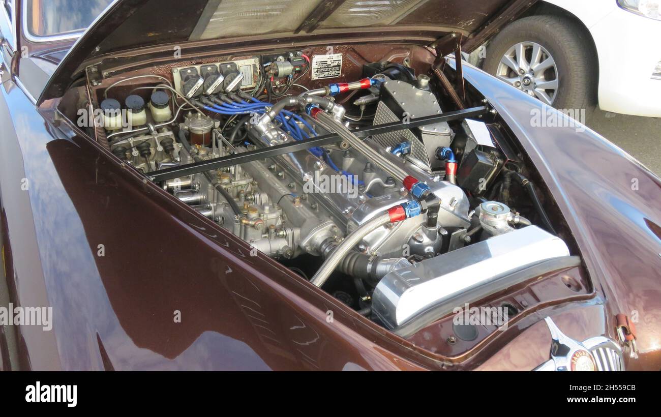 Rex Bentham's Jaguar Mk 2 in Hampton Downs 20. März 2021. Stockfoto