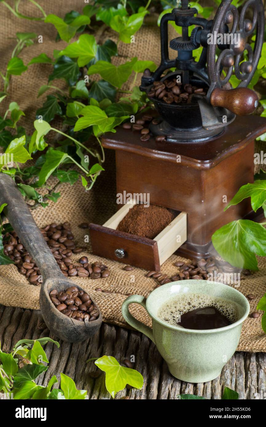 Eine Kaffeemühle mit Kaffeemühlen und Bohnen. Eine Tasse frisch gebrühten Kaffee. studiofotografie Stockfoto