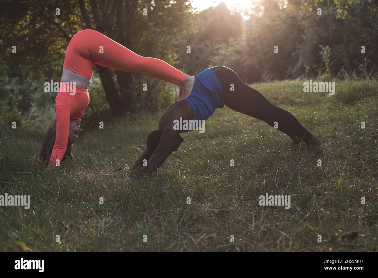 Das Paar führt komplexe Yoga-Übungen in der Natur durch Stockfoto