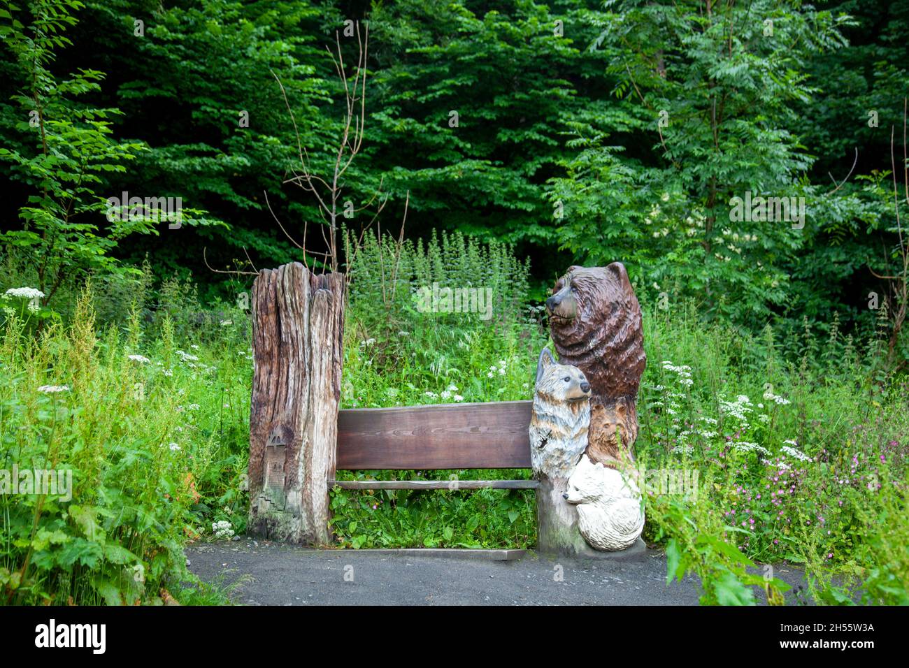 Abbey Craig Woods vom National Wallace Monument in Schottland Stockfoto