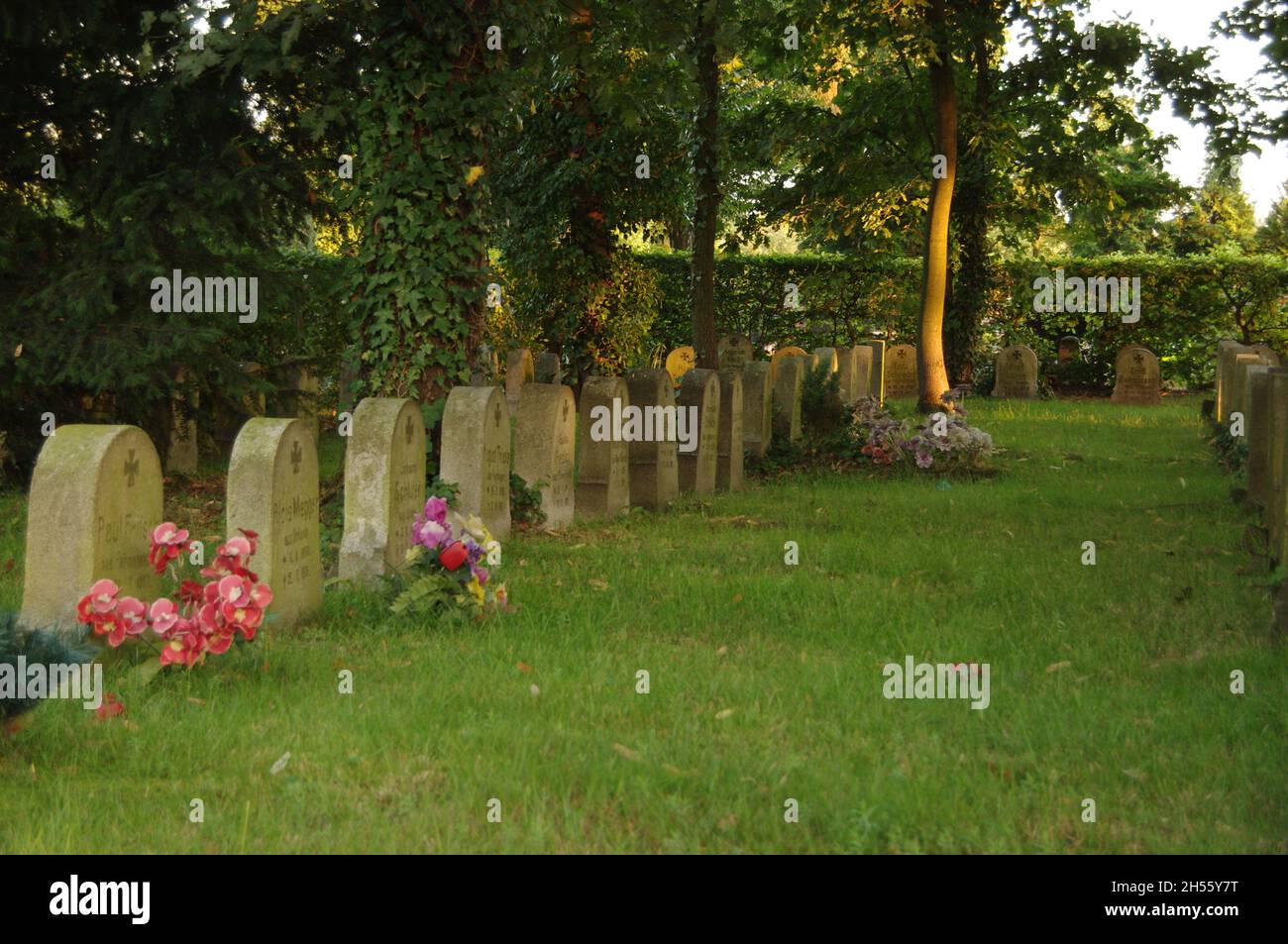Städtischer Friedhof in der Stadt Zagan in Polen. Quartiere deutscher Soldaten, die im Ersten Weltkrieg ums Leben kamen. Stockfoto