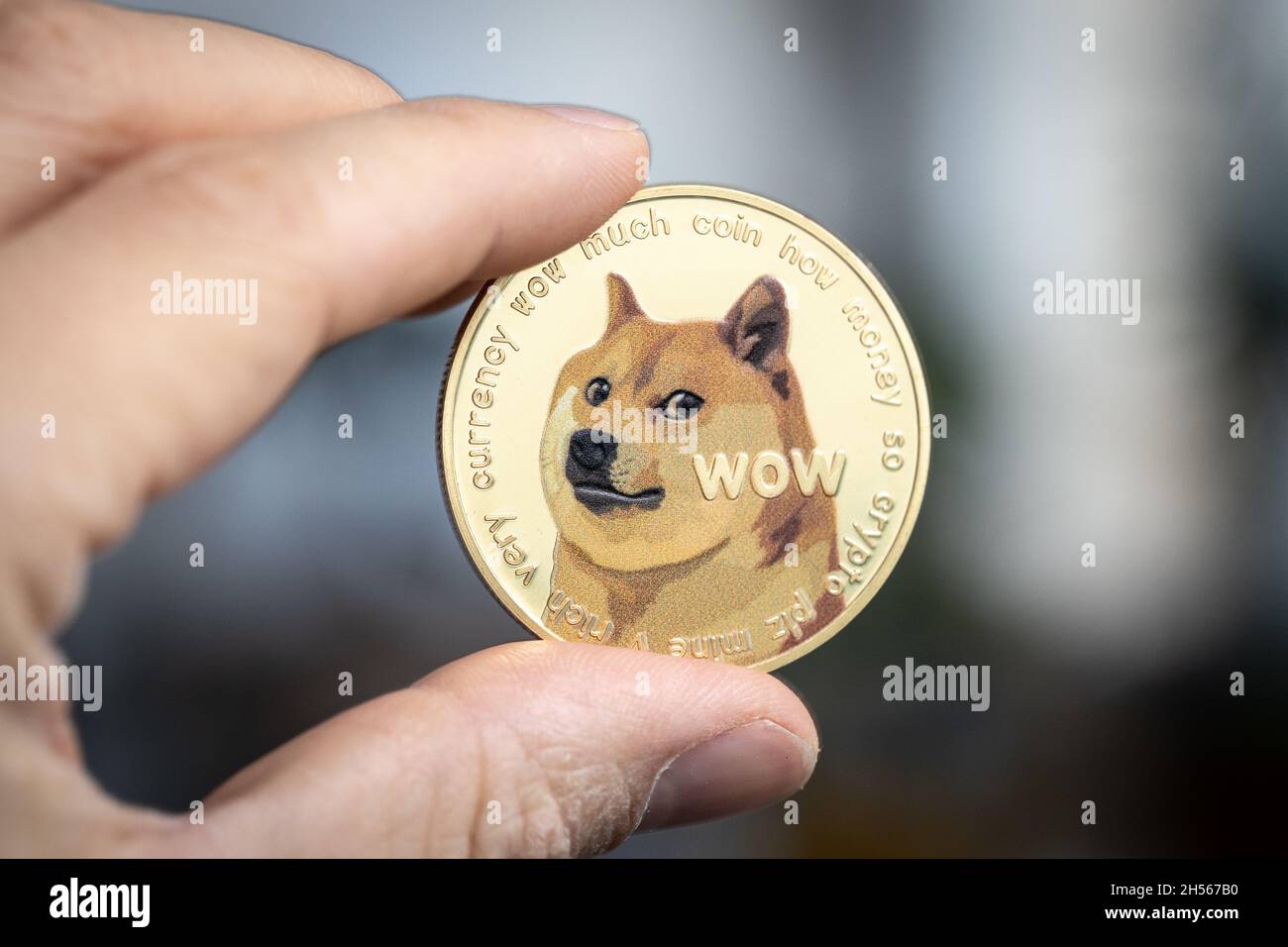 Dogecoin Kryptowährung physische Münze zwischen zwei Fingern gehalten Stockfoto
