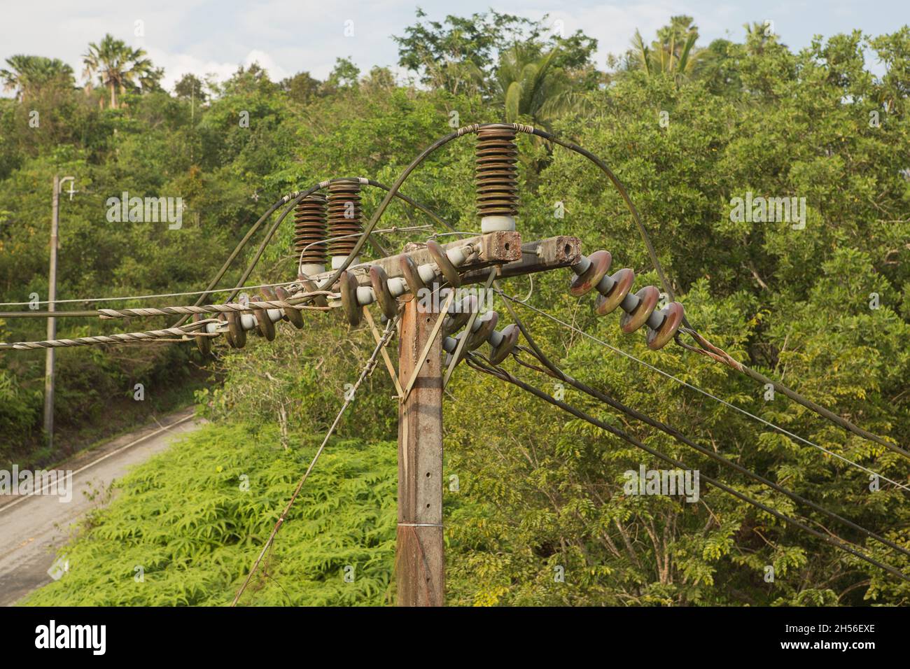 Elektrische Isolatoren in einem heißen asiatischen Land elektrische Isolatoren Stockfoto