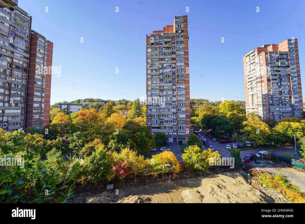 Breites Bild des Neuen Belgrads Block 4 Gebäude aus der sozialistischen Ära während des Herbstes mit verschiedenen Farben auf den Bäumen auf der Straße Stockfoto