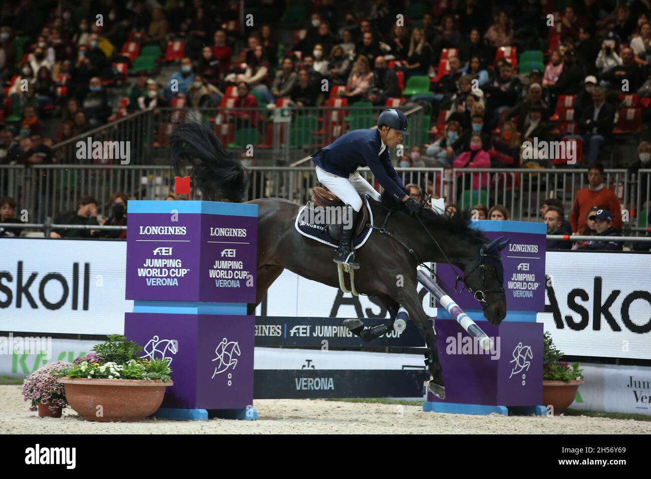 Verona, Italien. November 2021. CARLOS ENRIQUE LOPEZ LIZARAZO aus Kolumbien stürzt beim Stechen der FEI Jumping World Cup 2021 beim Pala Volkswagen am 7. November 2021 in Verona, Italien, ab Quelle: Mickael Chavet/Alamy Live News Stockfoto