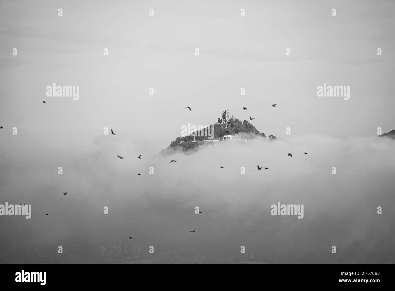 Königswinter, Drachenfels Foggy Landscape Scenery Stockfoto