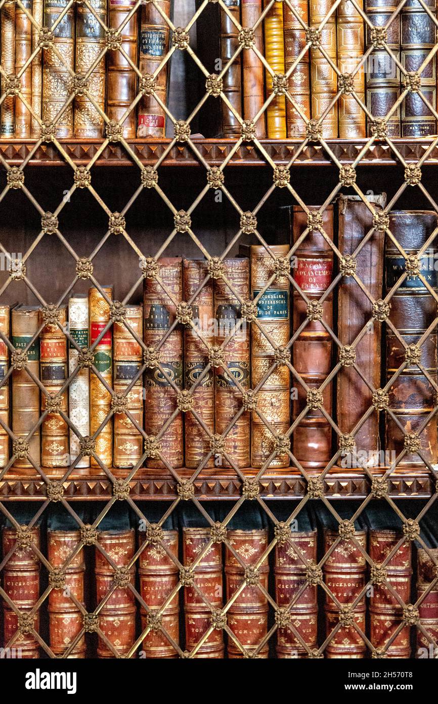 Vintage-Bücher hinter einem Zaun, Innenraum der geschnitzten Mahagoni-Bibliothek im Arundel Castle, Arundel, Großbritannien Stockfoto