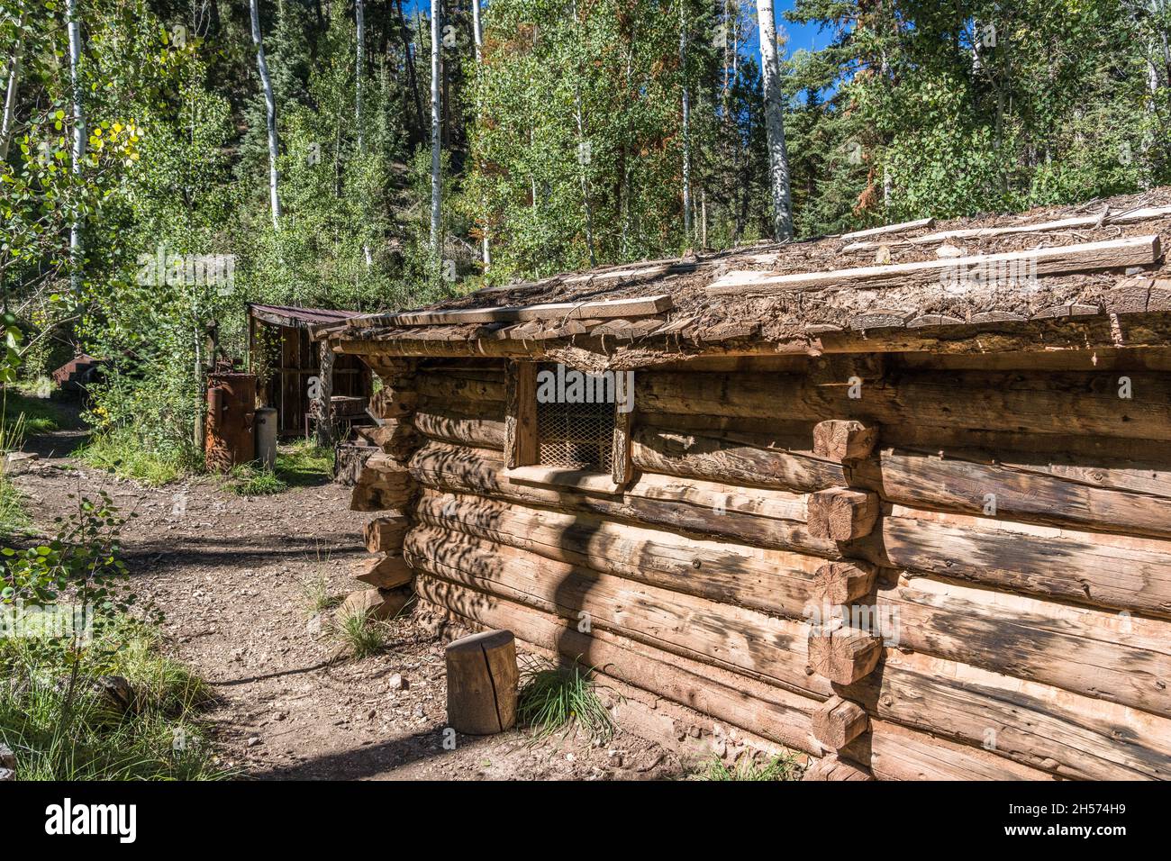 Die Dalton Bergarbeiterhütte im Miner's Park in Bullion Cayon in den Tushar Mountains in der Nähe von Marysvale, Utah. Stockfoto