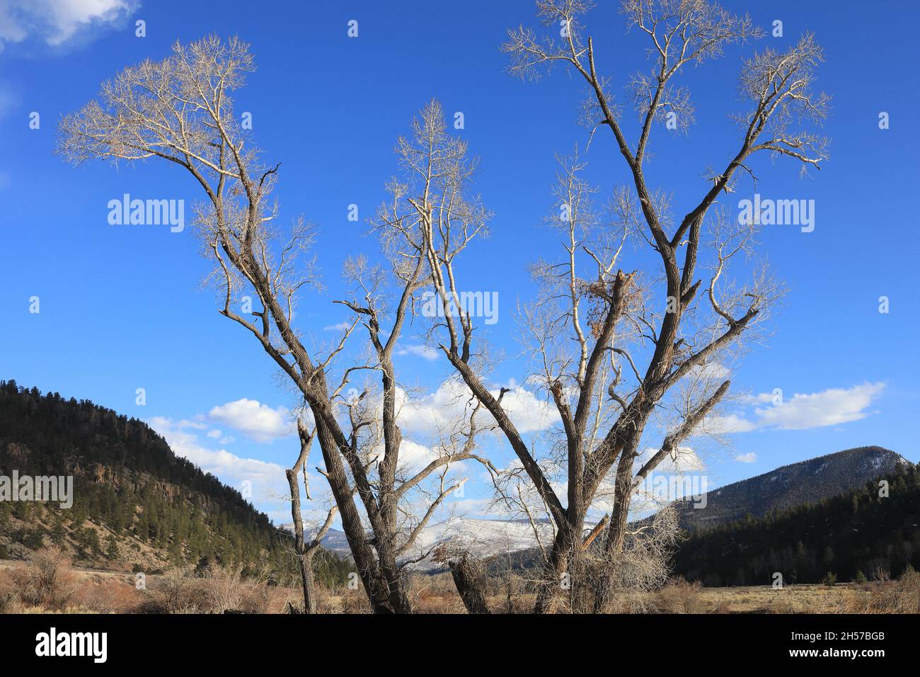 Blau und weiß am Himmel Stockfoto
