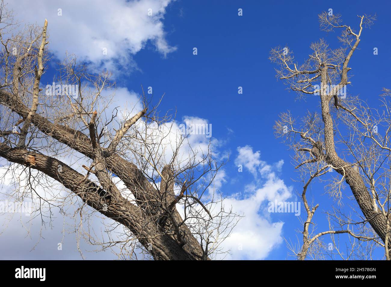 Blau und weiß am Himmel Stockfoto