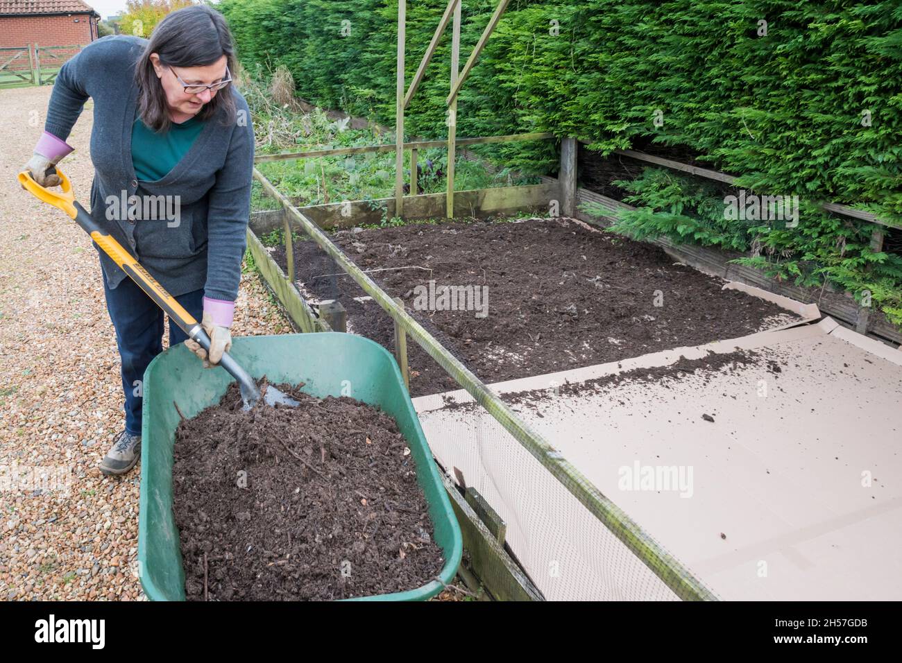 Keine Gartenarbeit. Frau schaufelt einen Kompostmulch auf Pappkartonplatten, die in einem Gemüsegarten über den Boden gestellt werden, um Unkraut zu unterdrücken und den Boden anzureichern Stockfoto